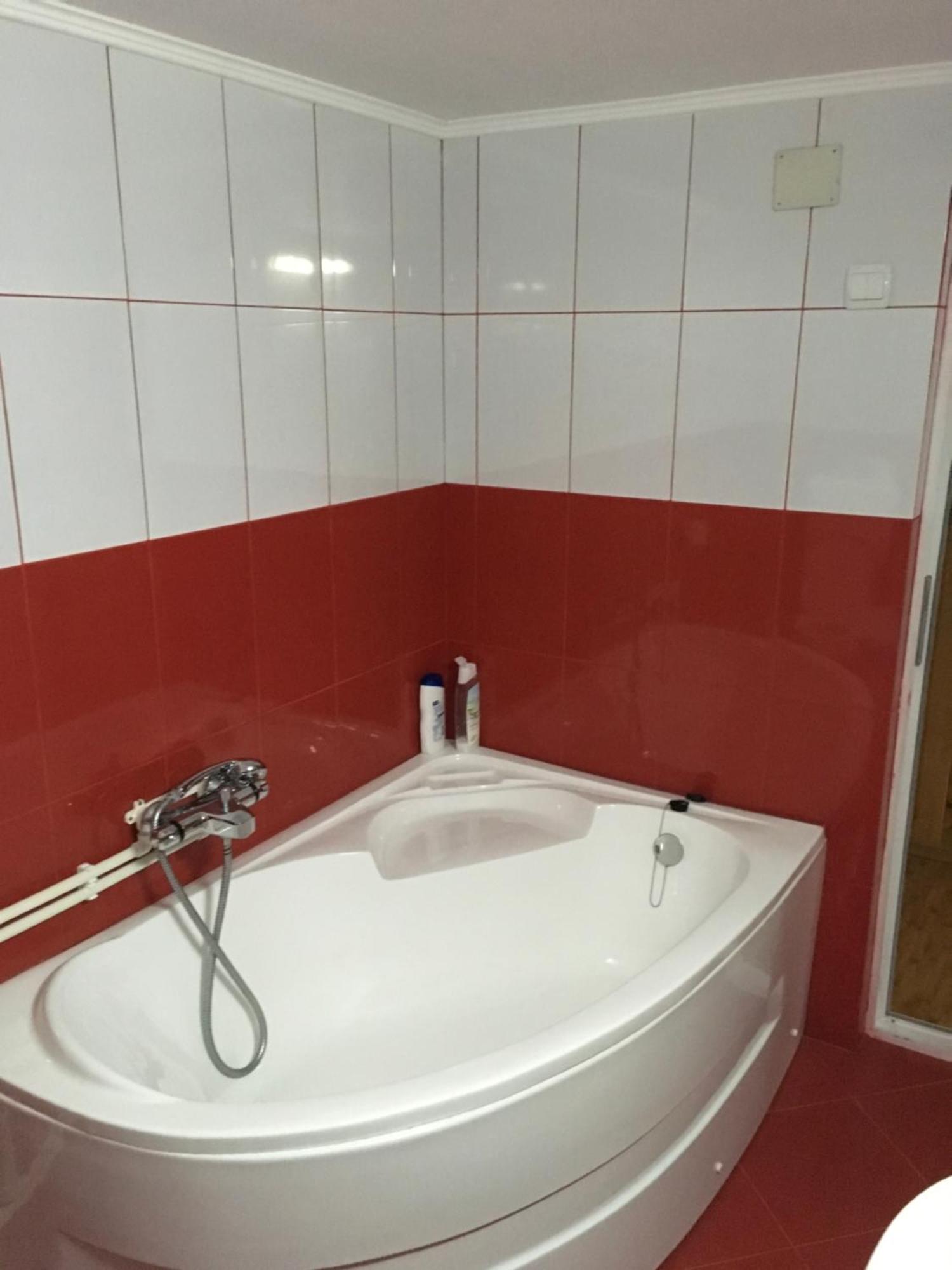 Casa Pelerinului Apartamento Capatineni-Paminteni Exterior foto